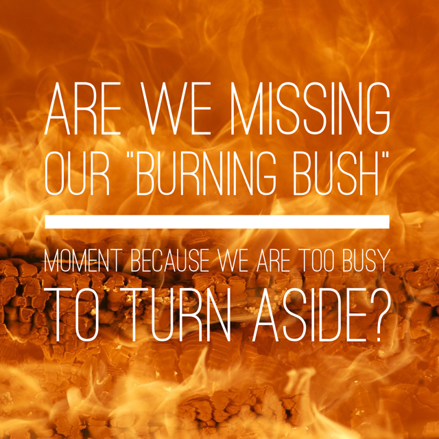 When’s my Burning Bush Moment?